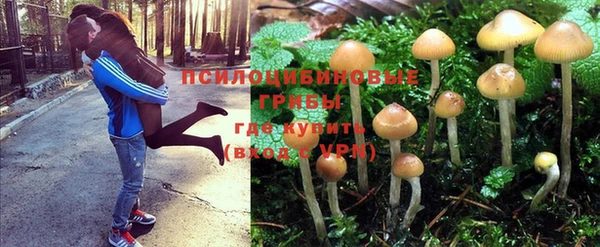 ГАЛЛЮЦИНОГЕННЫЕ ГРИБЫ Алексин