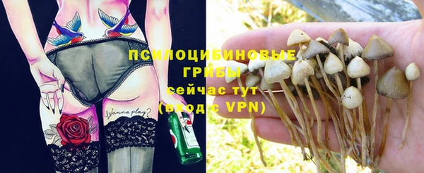 Альфа ПВП Алзамай