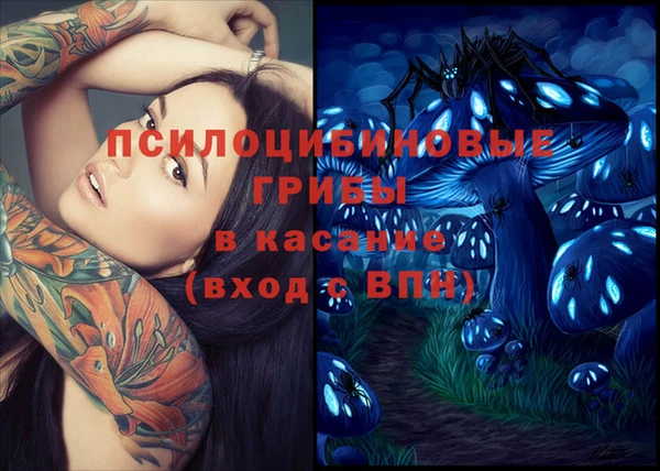 прущая мука Гусев