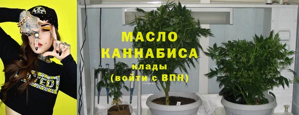 винт Гусь-Хрустальный