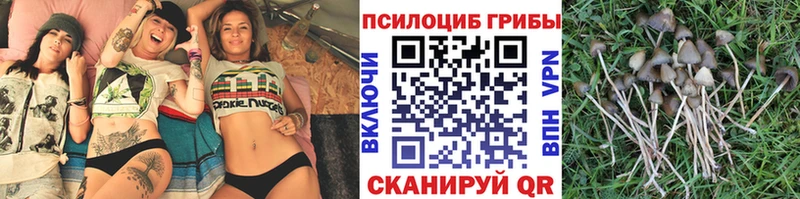 блэк спрут tor  Нижнеудинск  Галлюциногенные грибы Magic Shrooms 